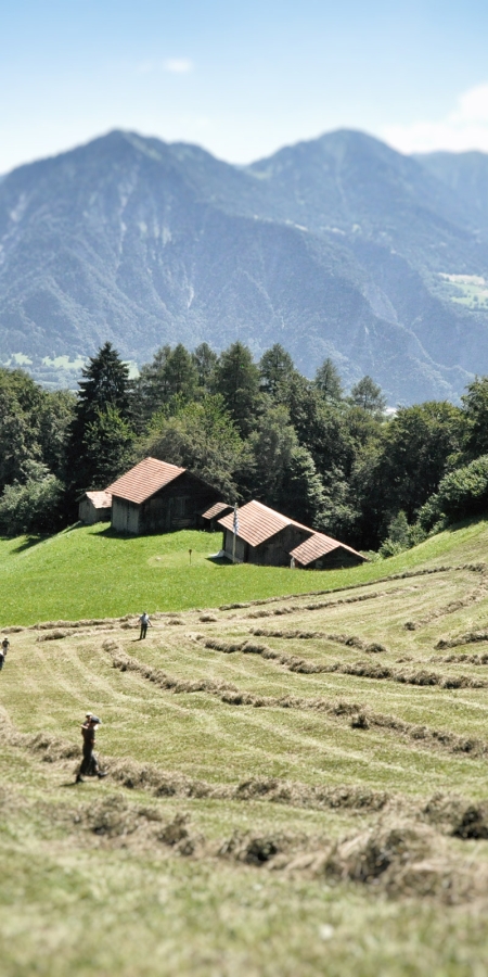 Bergheuet in Graubünden